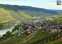 Reil an der Mosel