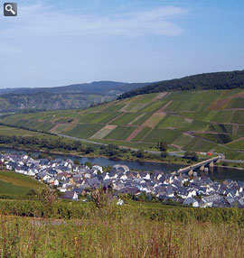 Reil an der Mosel